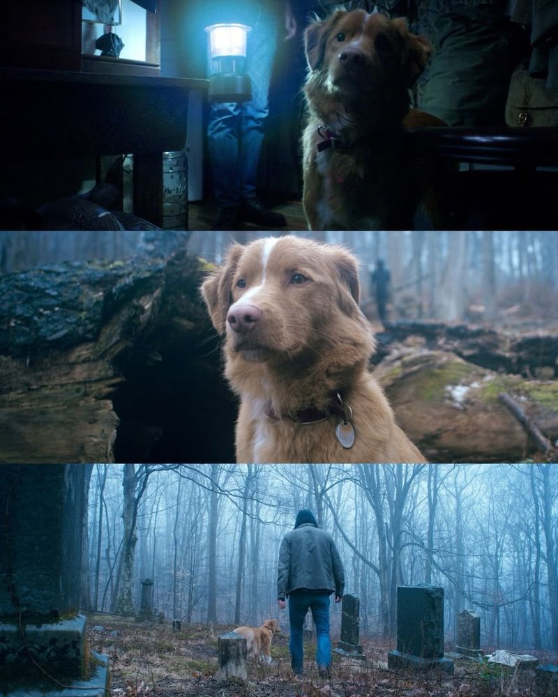 Scenes from an upcoming supernatural horror movie called “Good Boy”