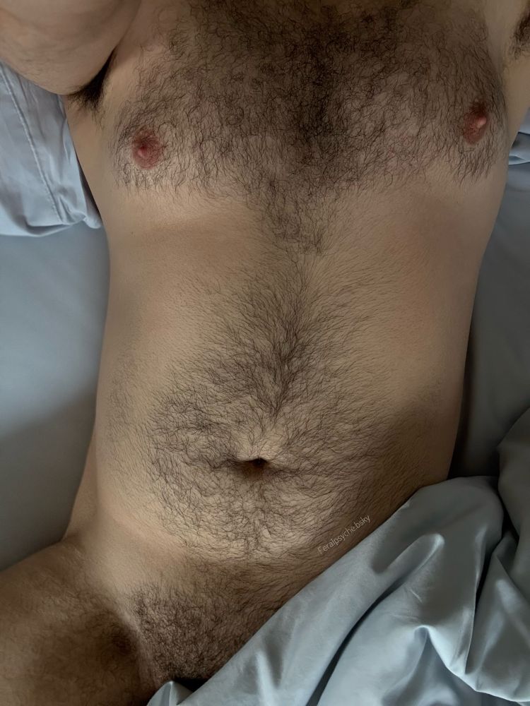 A nude, hairy guy laying in bed with the covers pulled up over his cock and balls this only showing his pubic hair