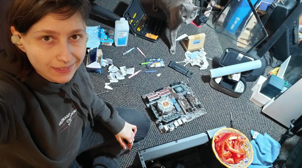 A person sits in front of a mess on the floor, working on a computer mother board. There is also a bowl of sliced bell pepper and a cat nearby.