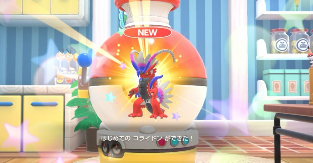 コライドンちゃん！！！！！！