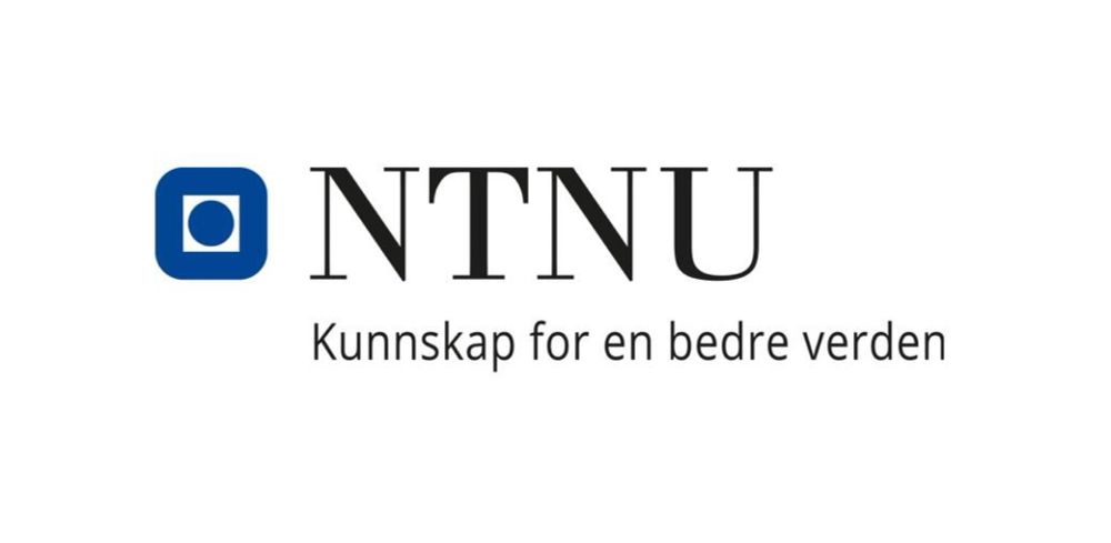 Associate Professor position in University Pedagogy (262372) | NTNU - Norwegian University of Science and Technology