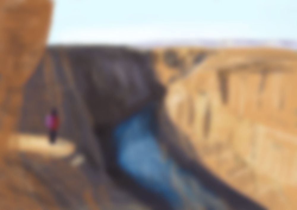 (blurred)