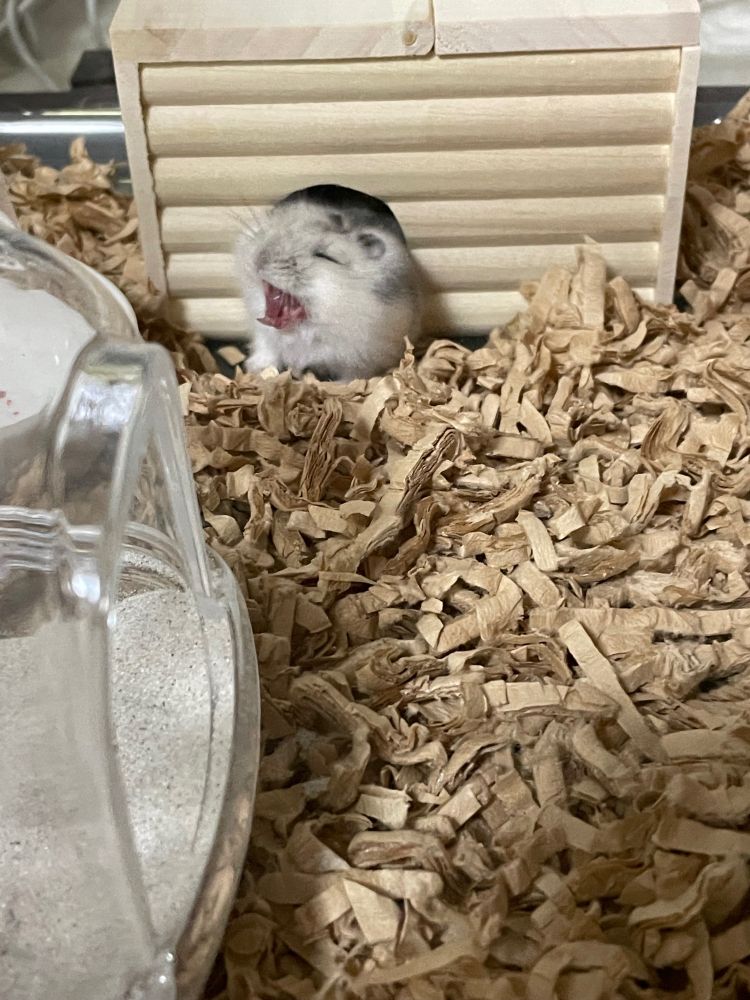 くわああああ！！！