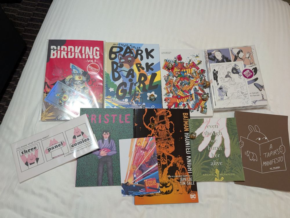 A pile of comics and zines on a white bed: 'Birdking Volume 3', 'Bark Bark Girl', 'Longboxes', 'Roaming', 'Three Panel Comics', 'Gristle', 'Batman: Haunted Night', 'even though we burnt her alive', 'A Tapir's Manifesto'