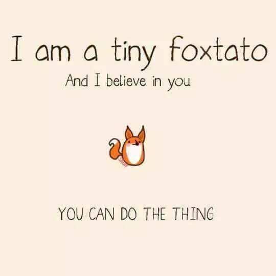 This is a peachy-beige square with inside text stating "I am a tiny foxtato and I believe in you. You can do the thing." In the center is a tiny cute fox illustration whose body is roughly potato-shaped.