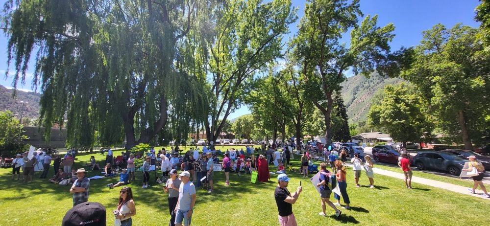 Protesters in a sunny public park 