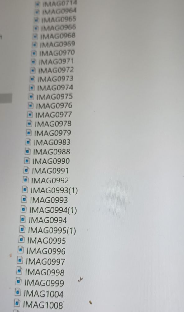 A list of images files with duplicates and no descriptions