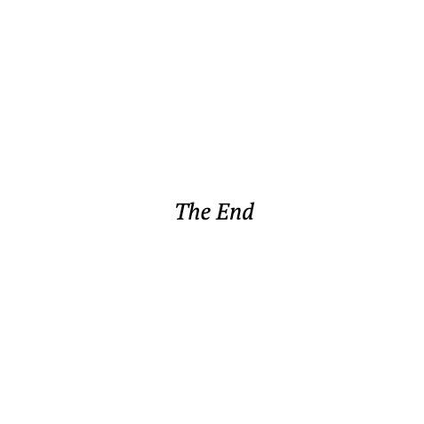 the words “the end” in the middle of a word document