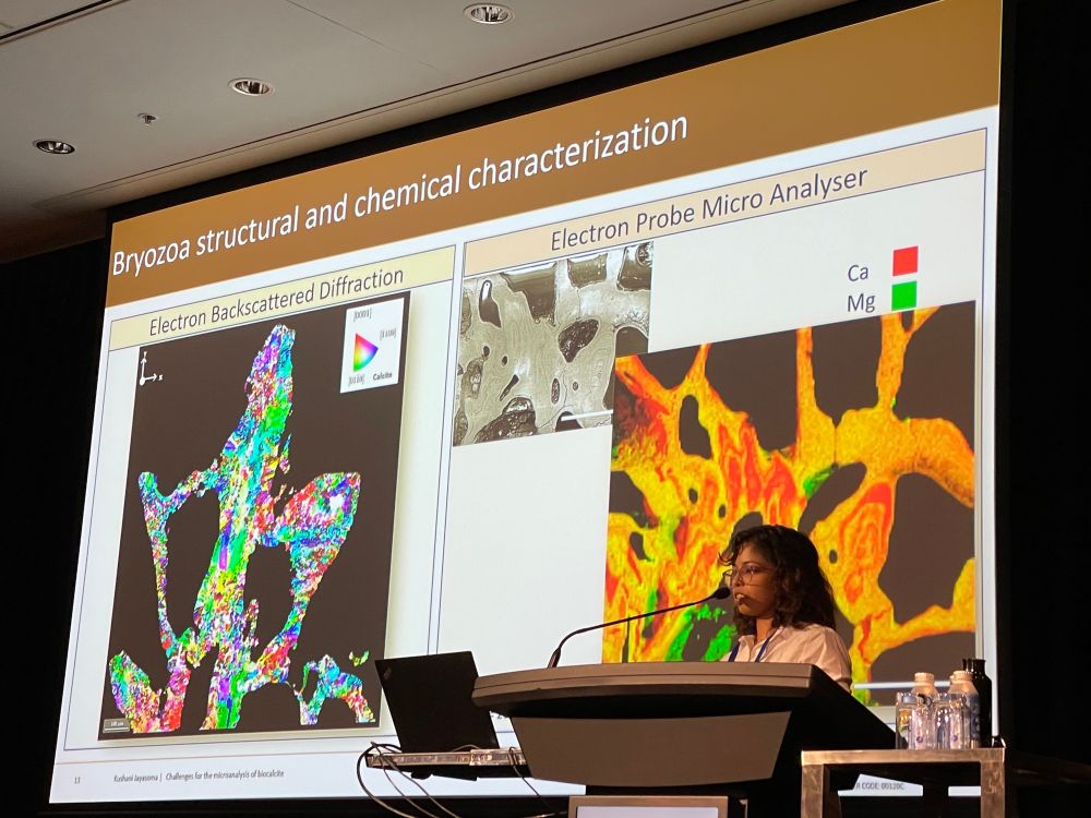 Kushani one of her slides showing colourful EBSD and WDS maps