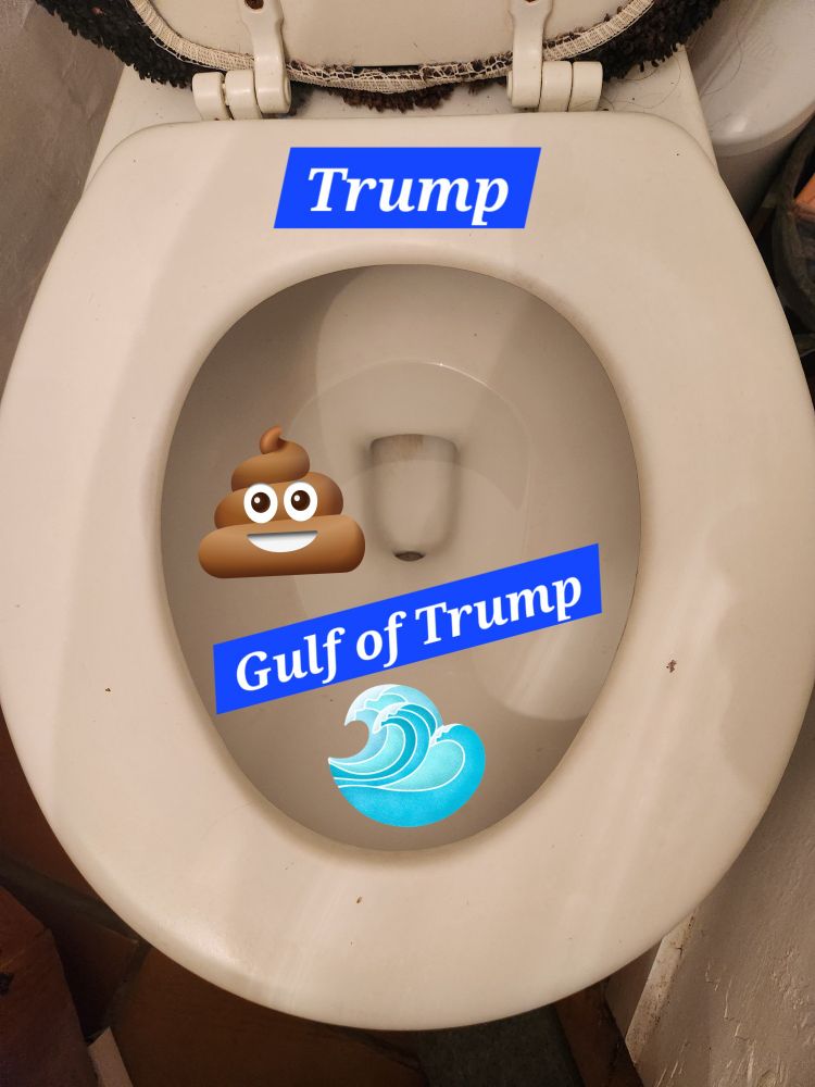 A toilet bowl with seat labeled trump and bowl labeled Gulf of Trump, and a wave and poop emoji in it. 