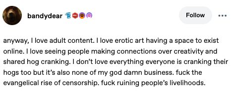 tumblr user @bandydear

anyway, I love adult content. I love erotic art having a space to exist online. I love seeing people making connections over creativity and shared hog cranking. I don’t love everything everyone is cranking their hogs too but it’s also none of my god damn business. fuck the evangelical rise of censorship. fuck ruining people’s livelihoods. 