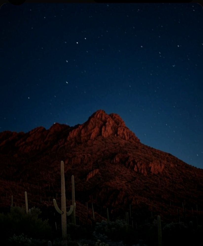 Short ride into the desert, sky at midnight lit up by stars. Rocks and cacti