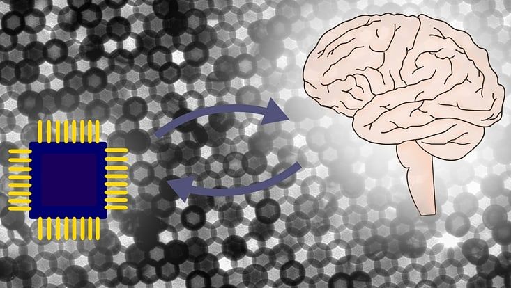 How can Nanotechnology connect neurons? Photo: UHH/Florian Schulz