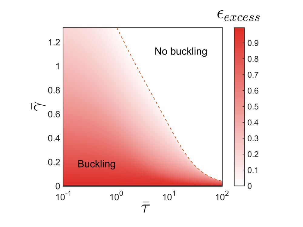 buckling phase diagram