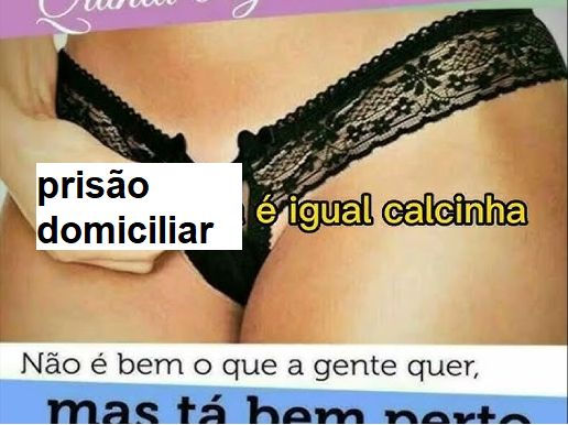 Montagem tosca onde se lê "prisão domiciliar é igual calcinha, não é bem o que a gente quer mas tá bem perto!".

No fundo há uma calcinha preta de renda numa pessoa com perna depilada e brilhando como se cenoura e bronze tivesse aplicado.
