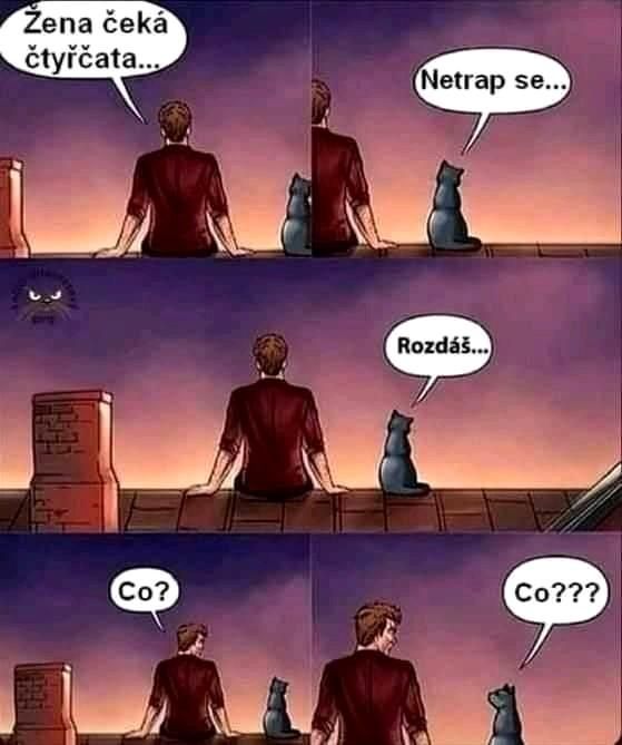 Komiks, týpek sedí na střeše a čumí na červánky. Vedlě něj sedí kocour (nebo kočka, vím já).
1) 👨: Žena čeká čtyřčata…
2) 🐱: Netrap se…
3) 🐱: Rozdáš…
4) 👨: Co?
5) 🐱: Co???