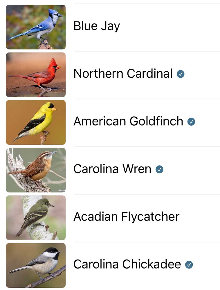 Blue Jay

Northern Cardinal o

American Goldfinch o

Carolina Wren •

Acadian Flycatcher

Carolina Chickadee o