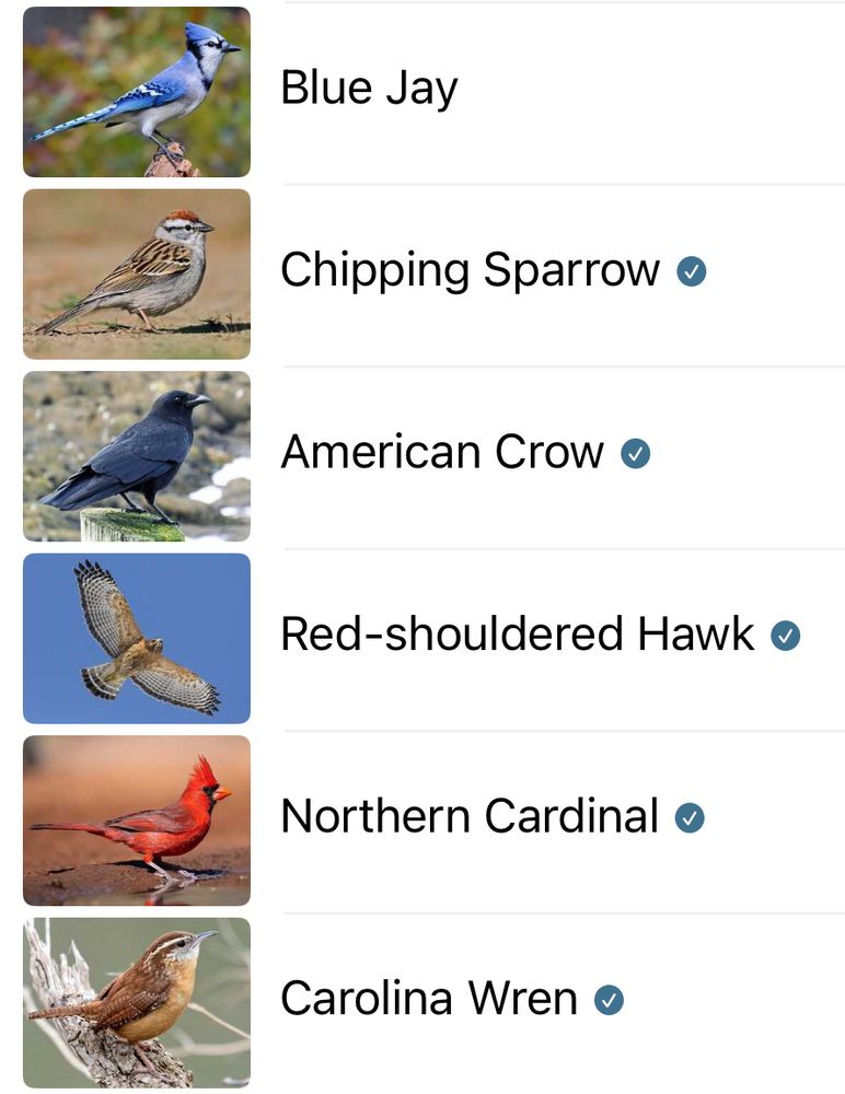 Blue Jay

Chipping Sparrow o

American Crow o

Red-shouldered Hawk o

Northern Cardinal o

Carolina Wren o