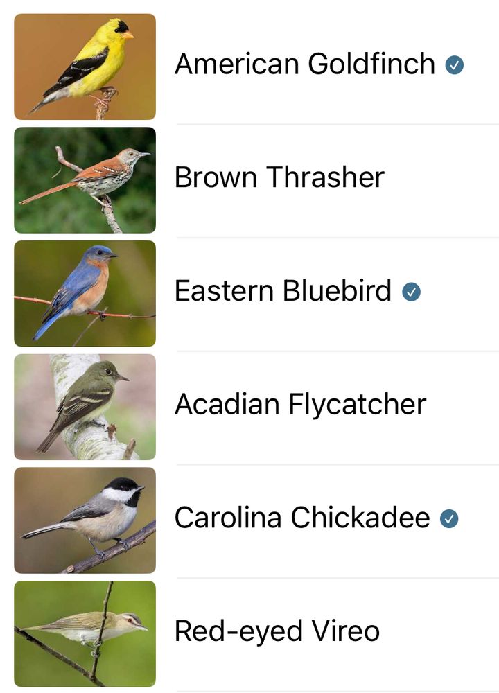 American Goldfinch o

Brown Thrasher

Eastern Bluebird o

Acadian Flycatcher

Carolina Chickadee o

Red-eyed Vireo