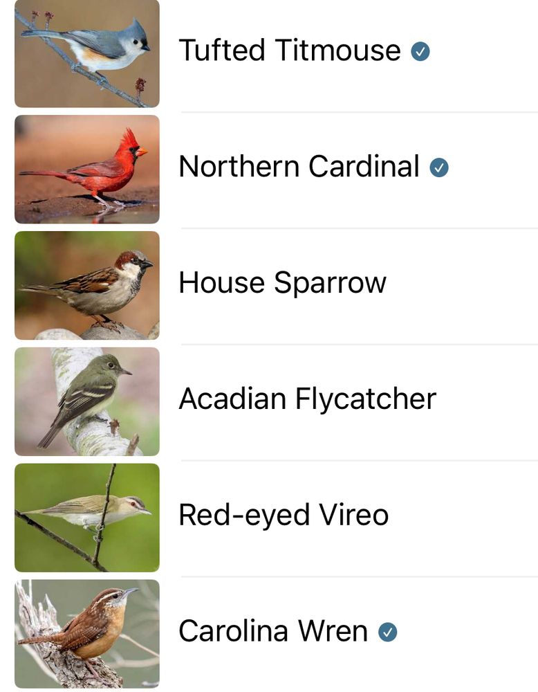 Tufted Titmouse o

Northern Cardinal o

House Sparrow

Acadian Flycatcher

Red-eyed Vireo

Carolina Wren o