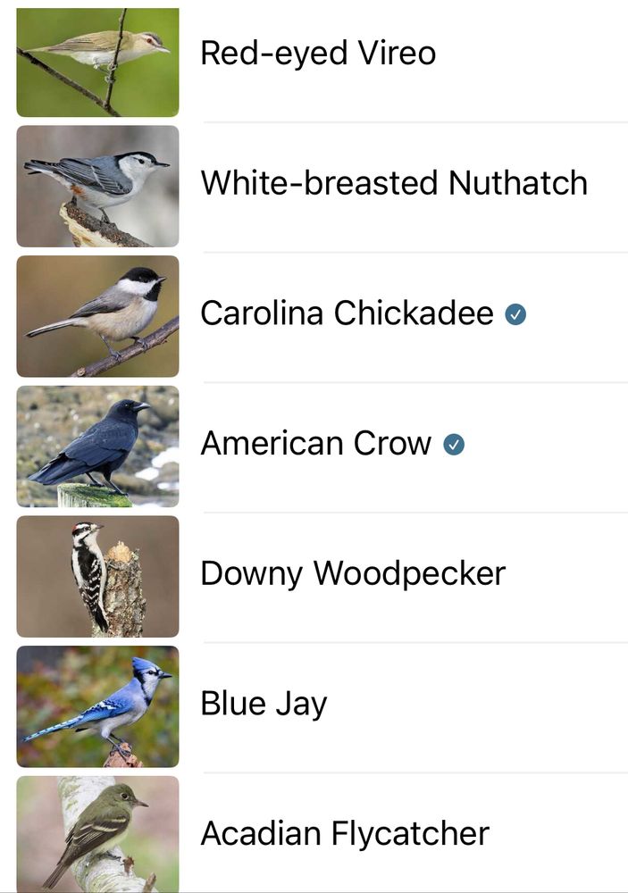 Red-eyed Vireo

White-breasted Nuthatch

Carolina Chickadee o

American Crow o

Downy Woodpecker

Blue Jay

Acadian Flycatcher