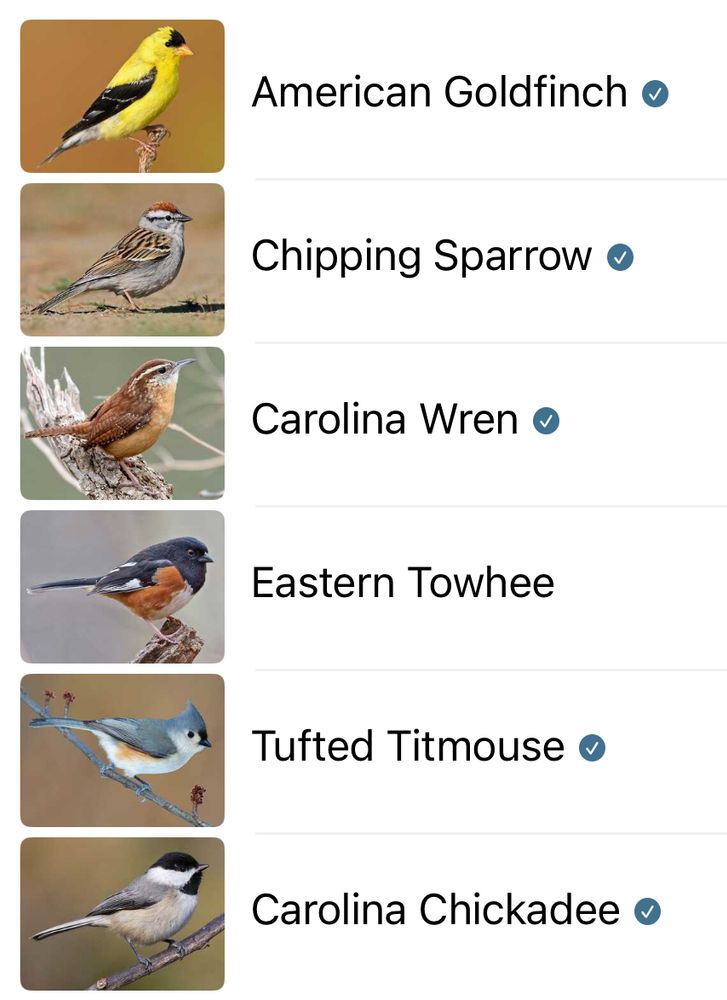 American Goldfinch o

Chipping Sparrow o

Carolina Wren o

Eastern Towhee

Tufted Titmouse o

Carolina Chickadee o