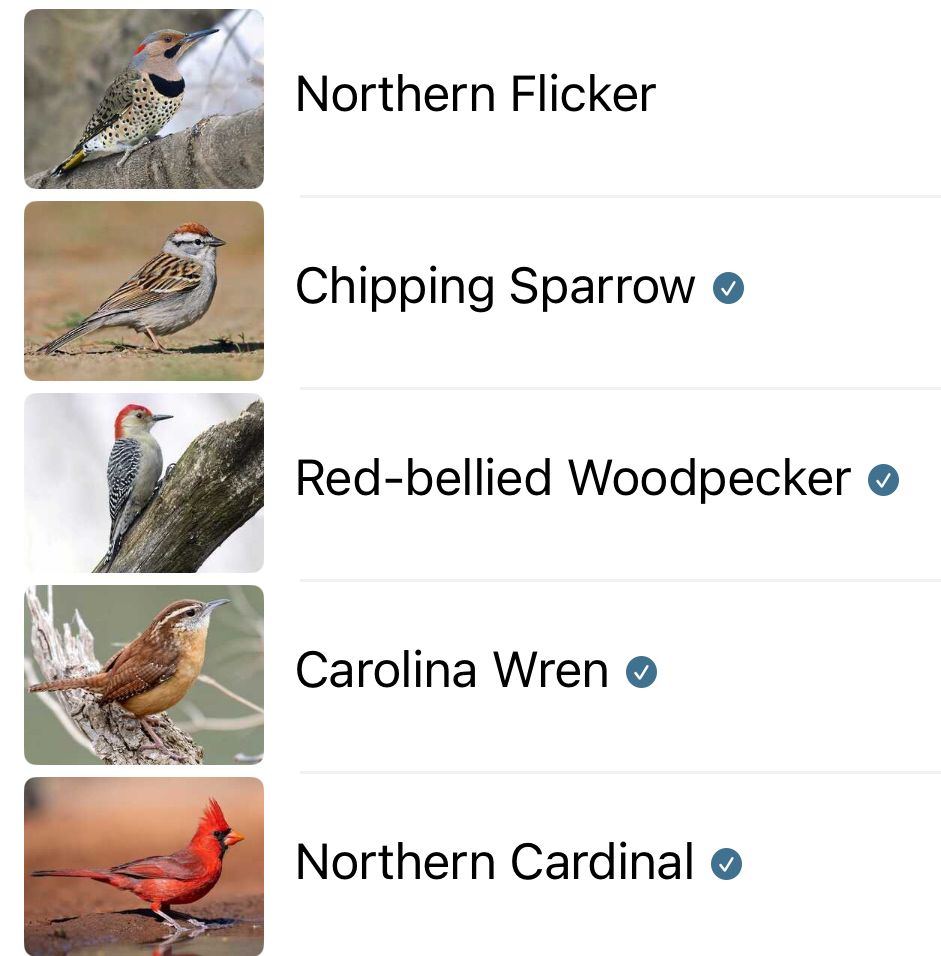
Northern Flicker

Chipping Sparrow o

Red-bellied Woodpecker o

Carolina Wren o

Northern Cardinal o