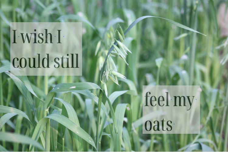Picture of an oat field, closeup on one plant, overlaid text says, "I wish I could still / feel my oats"