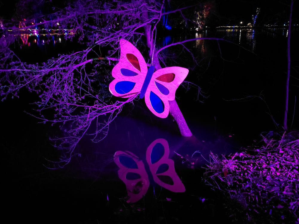 Christmas Lights Bad König 