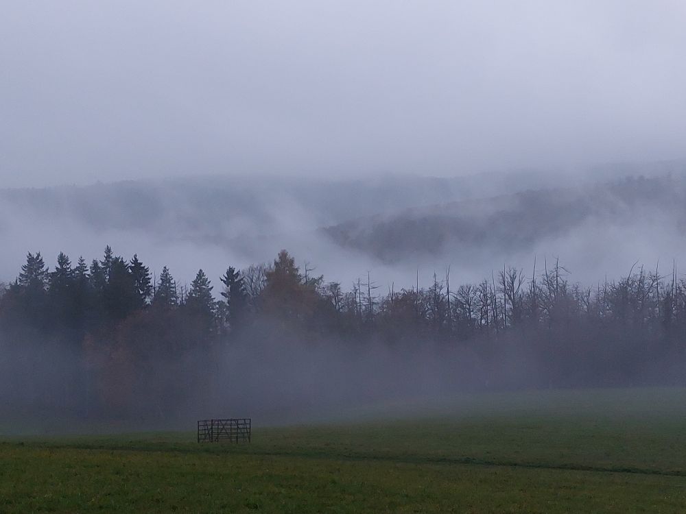 Wandern an der Wisper