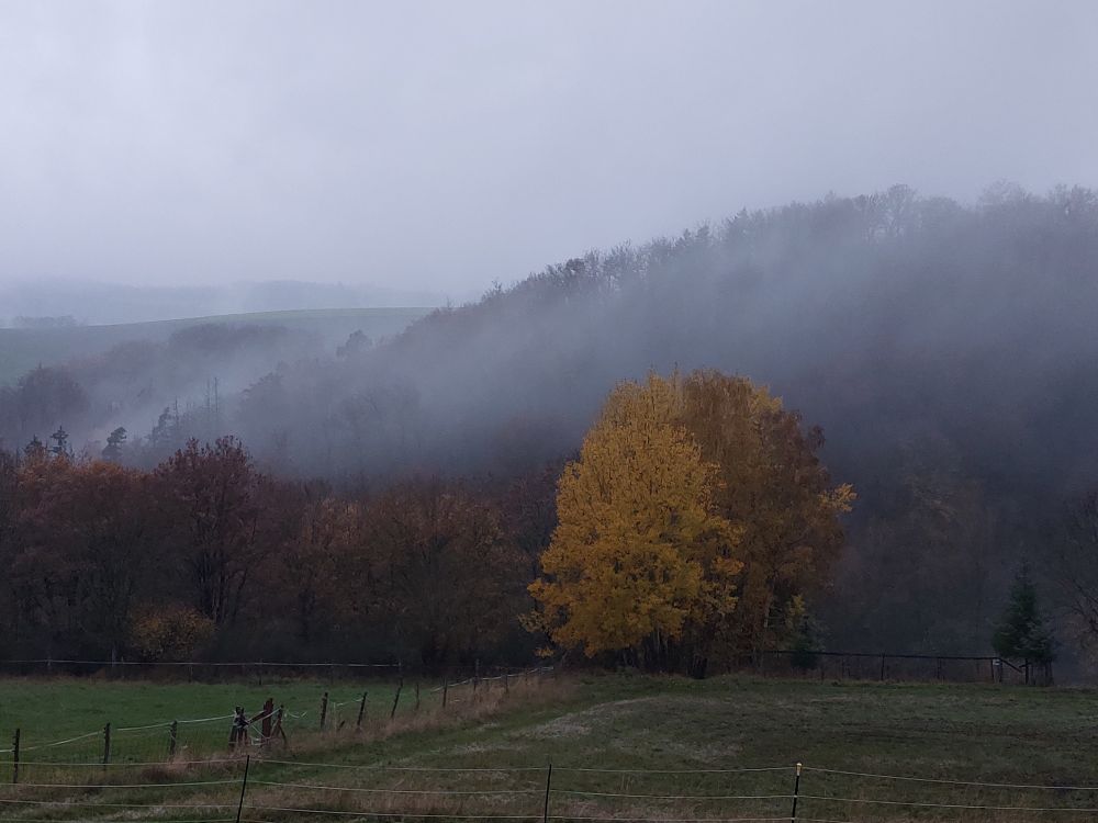 Wandern an der Wisper