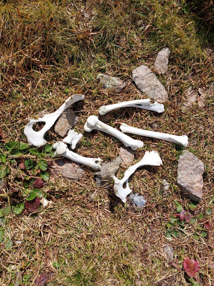 Rundwanderung im Villgratental mit 3 Gipfel