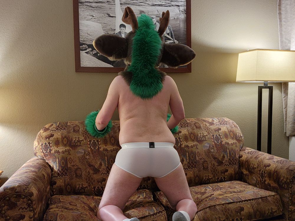 The deer fursuiter is still in white briefs.  However now he's on his knees on the couch looking at the large photo on the wall behind the couch. 