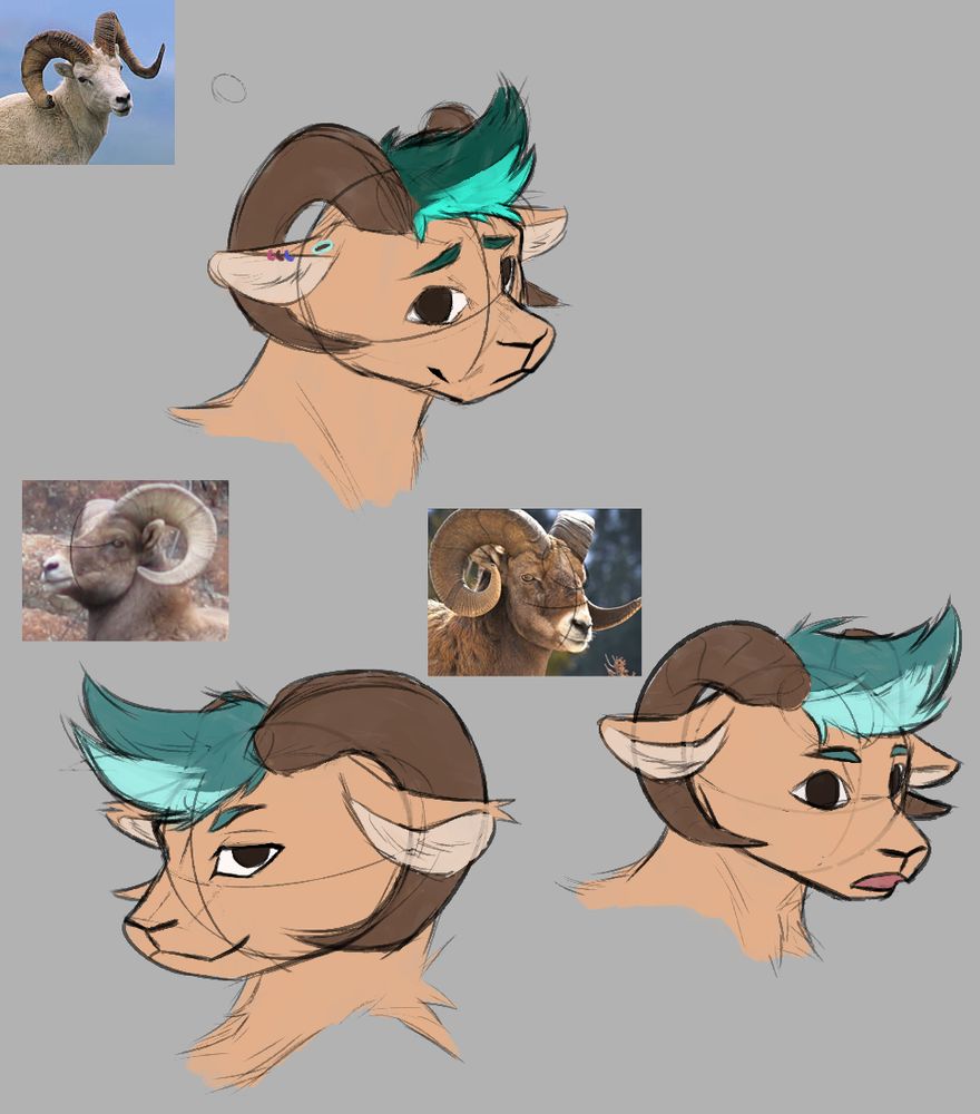 Head sketches of sheep character