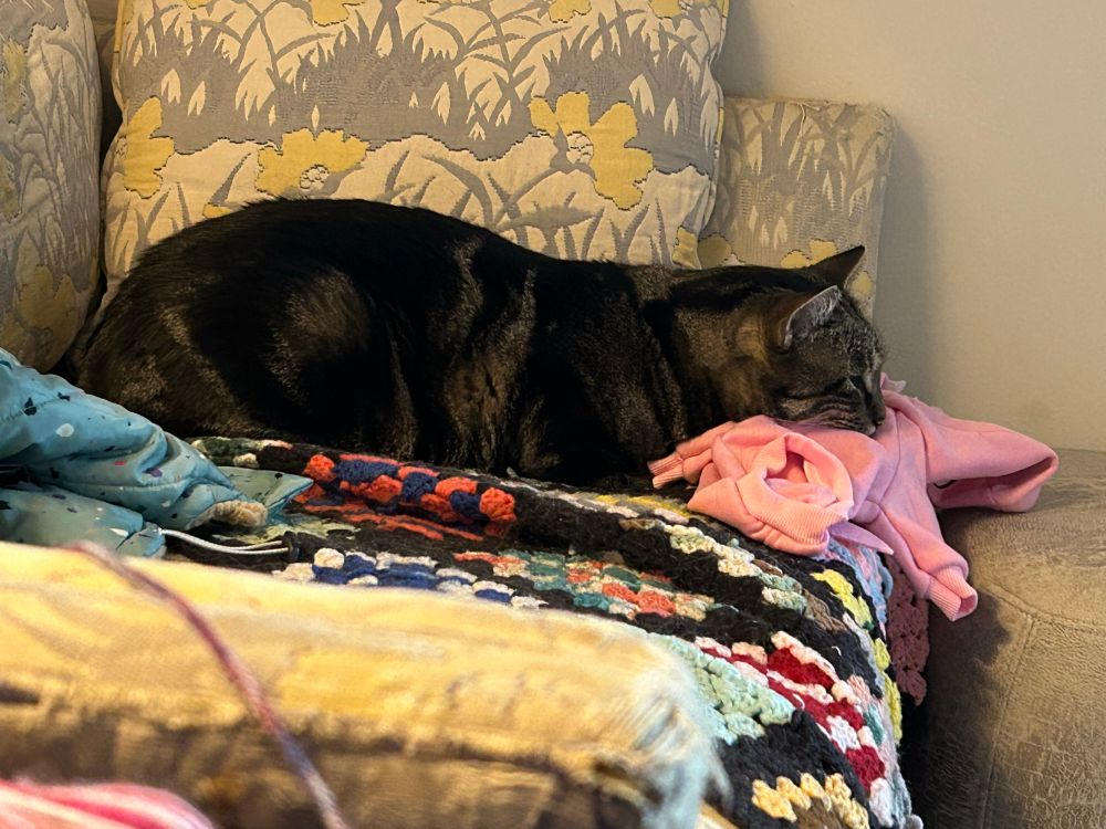 A brown tabby loafing on a couch. His head is resting on a pink hoodie