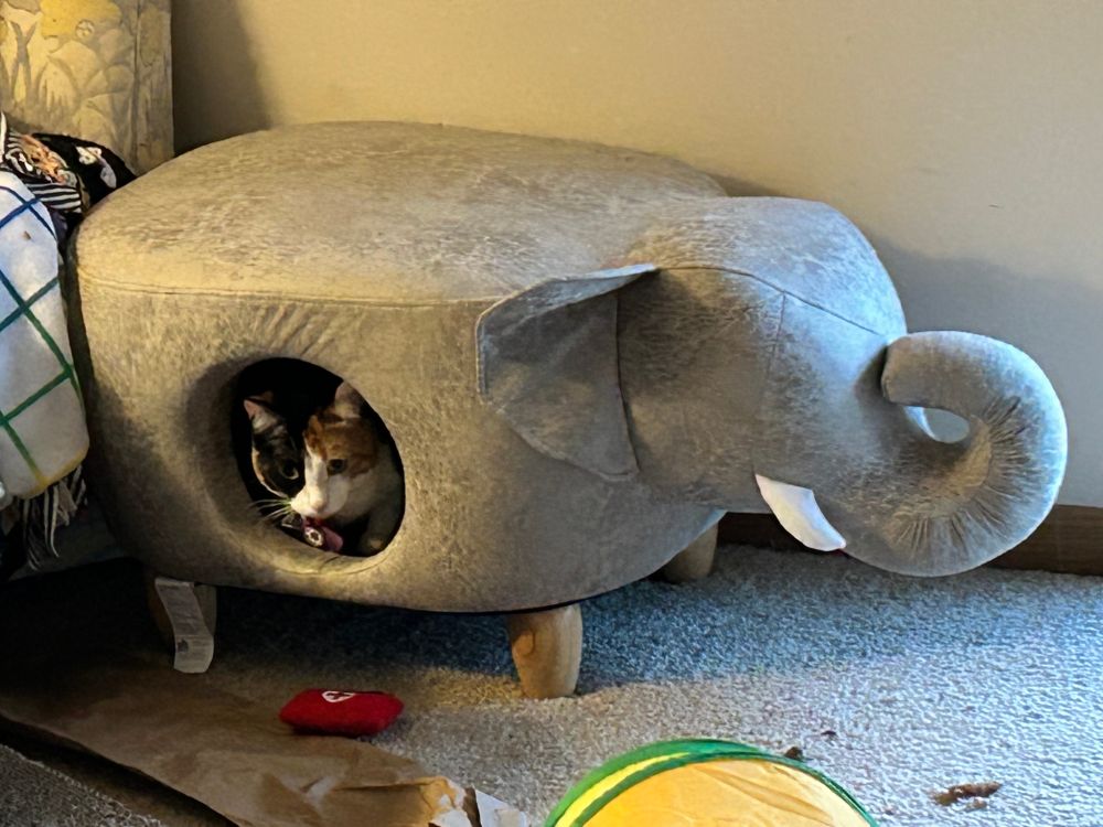A calico crouched inside an elephant shaped ottoman cat cave