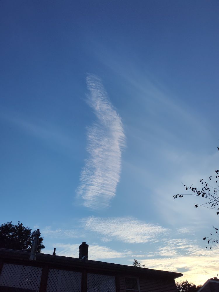 Clear blue sky with image of a cloud that looks like a feather hovering over a rooftop