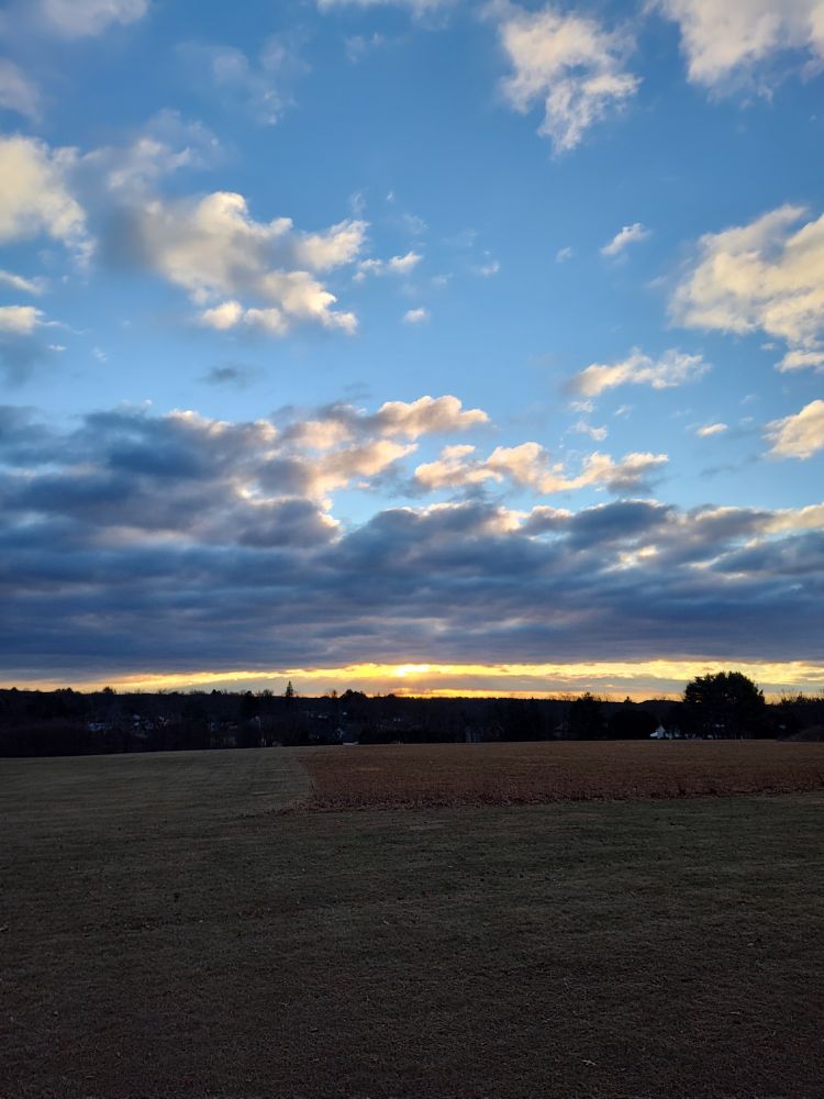 Sun rise above a field