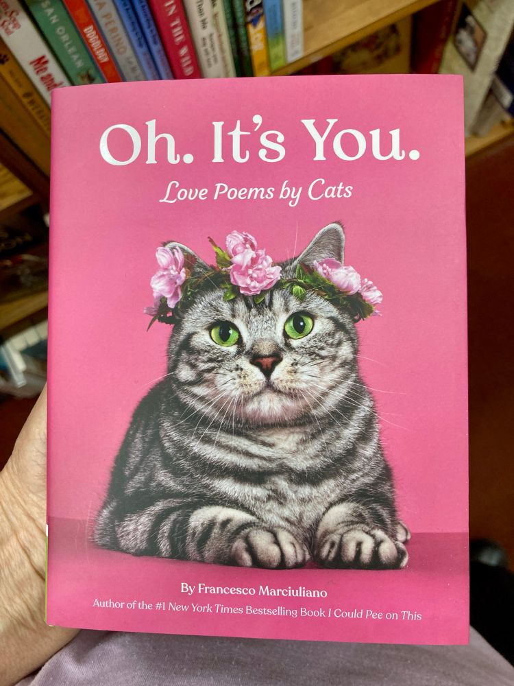 Poetry book by cats:
Oh. It's You.
Love Poems by Cats
By Francesco Marciuliano
Author of the #1 New York Times Bestselling Book I Could Pee on This