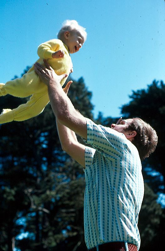 A child being thrown in the air by his father. The child is laughing.