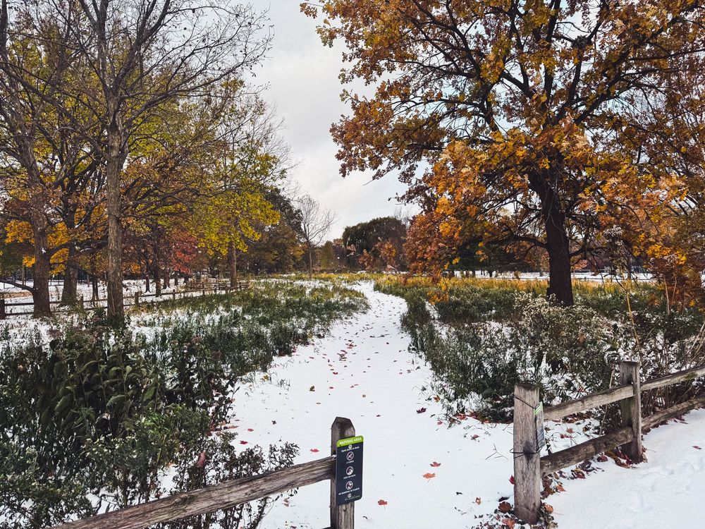 A prairie reserve in a city park covered in snow.