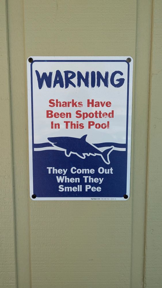 A funny pool sign: "WARNING Sharks Have Been Spotted In This Pool They Come Out When They Smell Pee" with a shark graphic.