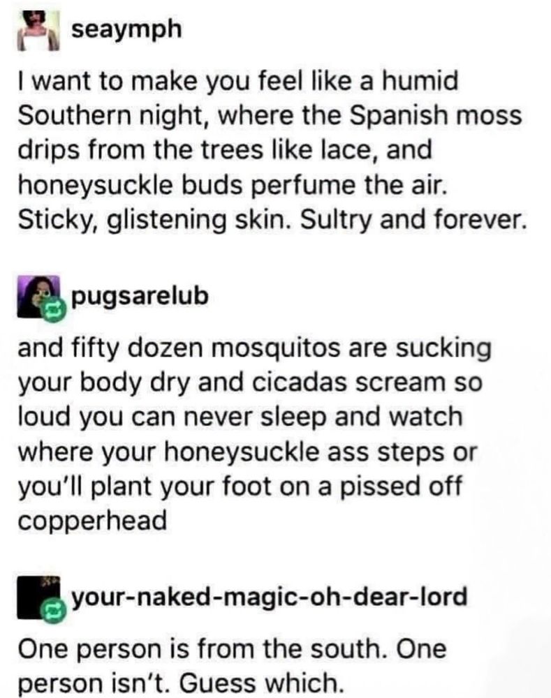 Screenshot of a thread.

User Seaymph:
I want to make you feel like a humid Southern night, where the Spanish moss drips from the trees like lace, and honeysuckle buds perfume the air.
Sticky, glistening skin. Sultry and forever.

User Pugsarelub:
and fifty dozen mosquitos are sucking your body dry and cicadas scream so loud you can never sleep and watch where your honeysuckle ass steps or you'll plant your foot on a pissed off copperhead

User your-naked-magic-oh-dear-lord:
One person is from the south. One person isn't. Guess which.