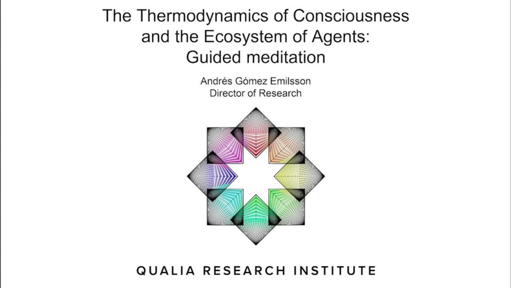 Guided Meditation: The Thermodynamics of Consciousness and the Ecosystem of Agents