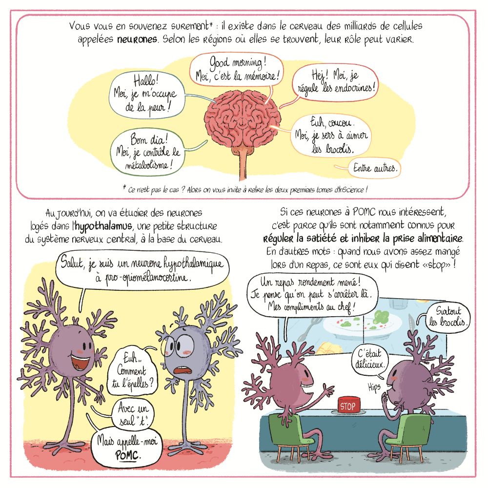 Seconde planche de la BD de Daniela Cota