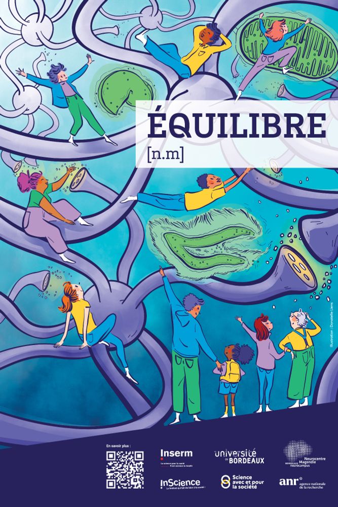 Affiche de l'exposition photographique "Équilibre" réalisée par Donatelle Liens qui montre des personnes jouant dans des neurones