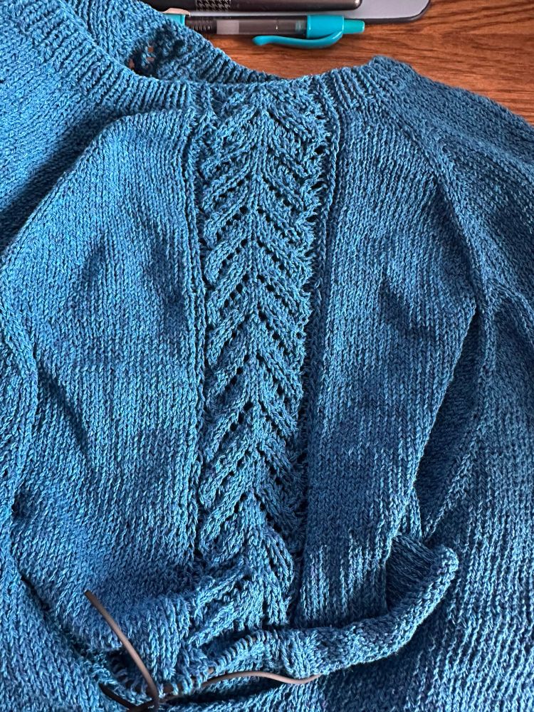 A closer view of the lace panel on top of one sleeve. It’s a recognizable lace motif, but I don’t know its name. 