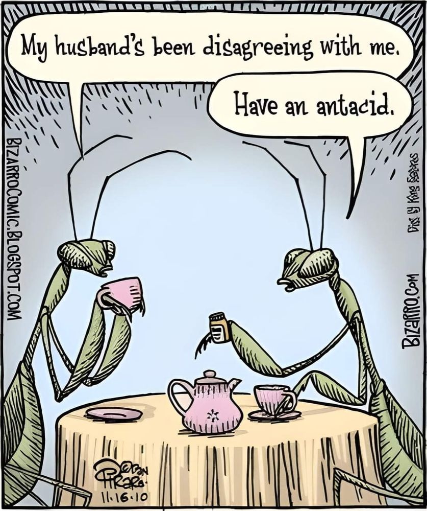 A bizarro comic of two praying mantis having tea 

Mantis one: my husband's disagreeing with me

Mantis two: have an antacid
