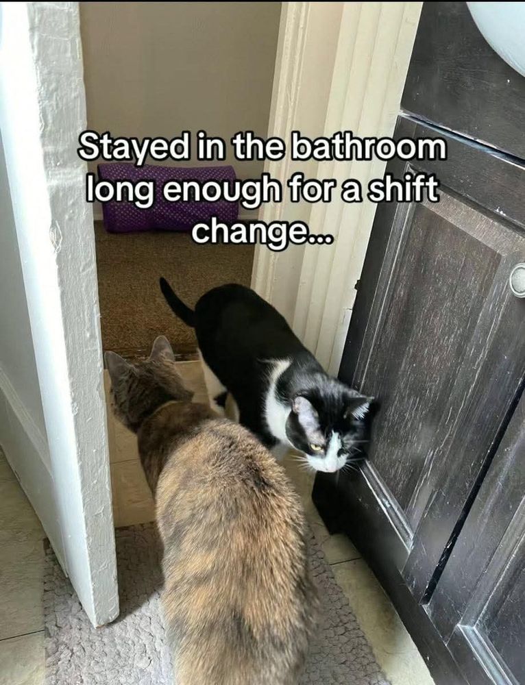 The image shows two cats near a bathroom doorway. One cat, with a calico coat, is standing on a light-colored textured mat in the foreground, facing away. The other cat, which is black and white, is positioned near a dark-colored wooden cabinet, looking towards the door. The surrounding area includes a white door on the left and a glimpse of a carpeted room visible through the doorway. Above the cats, text is superimposed on the image.

Transcribed Text:

Stayed in the bathroom long enough for a shift change...