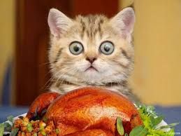 The image shows a wide-eyed kitten with gray and brown striped fur, positioned directly behind a large, roasted turkey. The kitten's alert expression emphasizes its large, round eyes and small ears. The turkey is golden-brown, indicating it is well-cooked, with a garnish of various greens and small vegetables around its base. The background is softly blurred, with hues of warm yellow and brown.